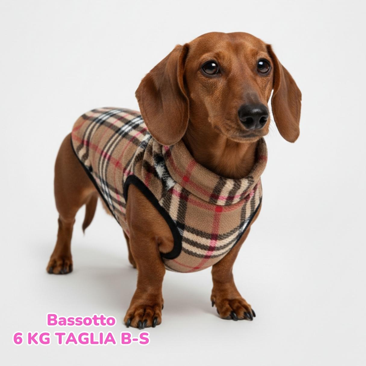 dorotea – 2026-01-17T134807.461