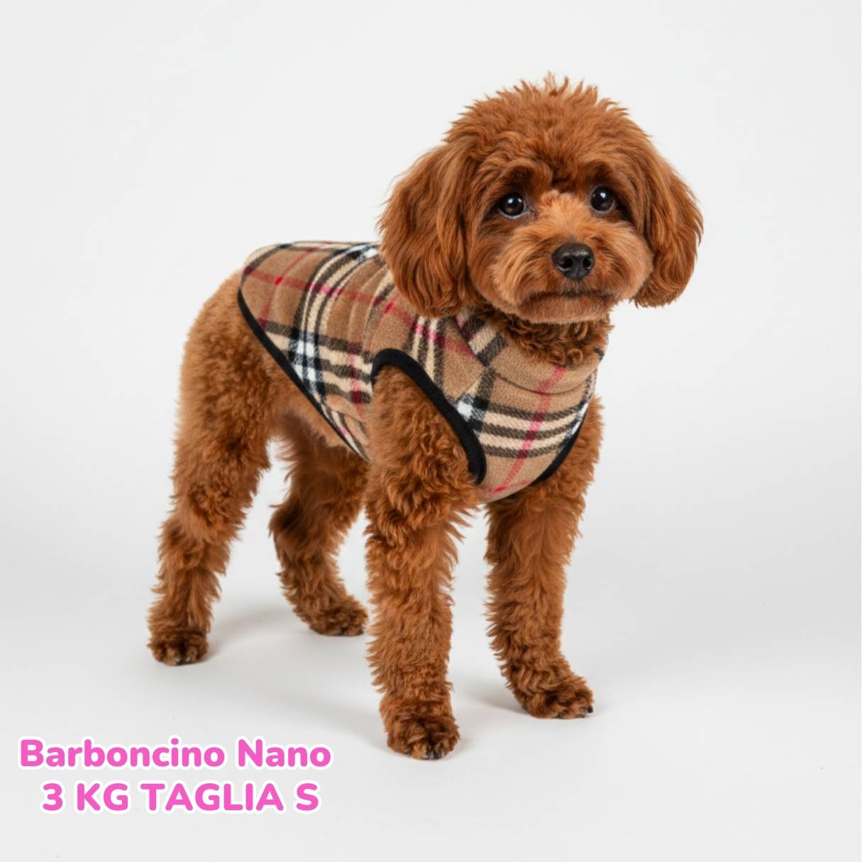 Pile Pelliccia Scozzese