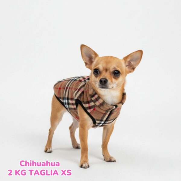 Pile Pelliccia Scozzese Pile Pelliccia Scozzese