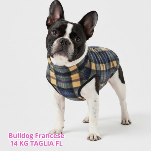 Pile Tartan Giallo e Blu