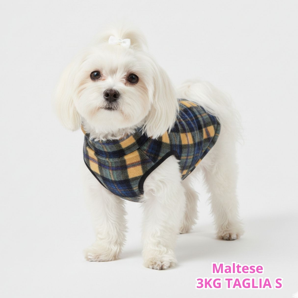 Pile Tartan Giallo e Blu