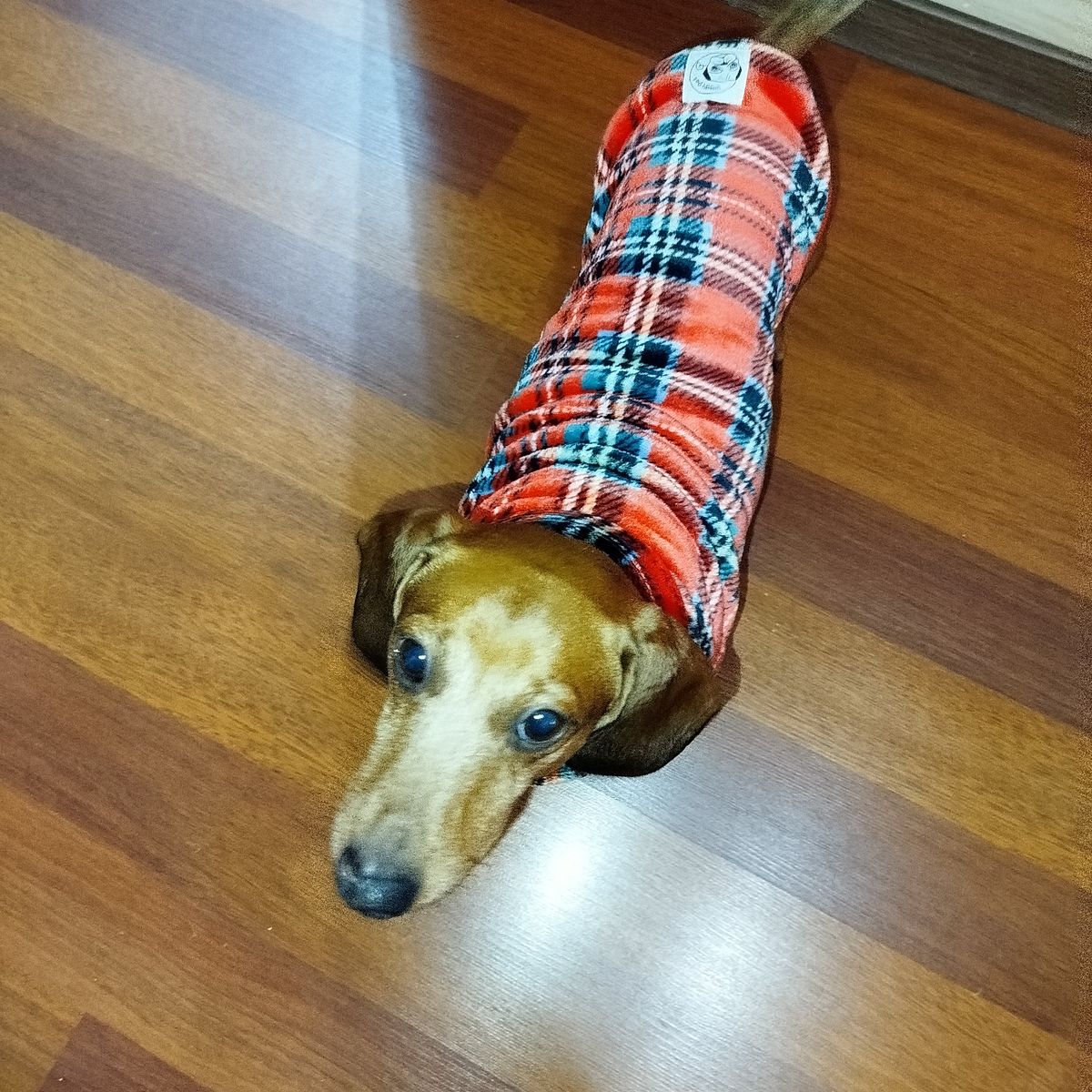 Foto recensione Cristiana