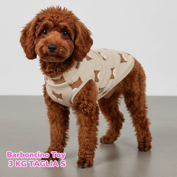 Felpa Cotone Primavera Volpine Felpa Cotone Primavera Volpine