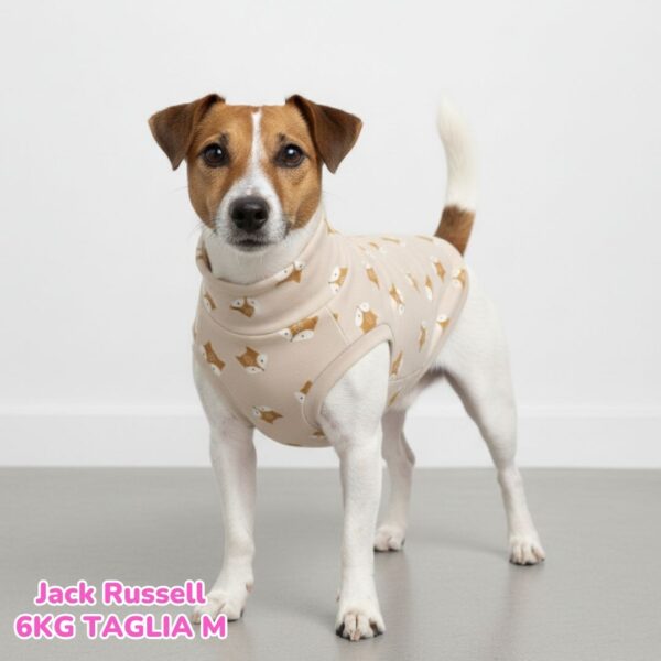 Felpa Cotone Primavera Volpine Felpa Cotone Primavera Volpine