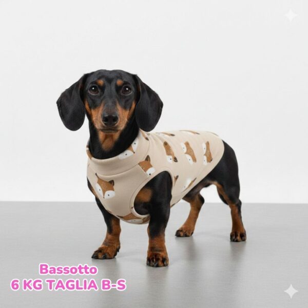 abbigliamento per cani – 2026-02-18T185813.363