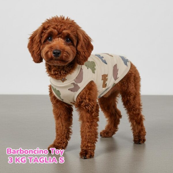 Felpa Cotone Primavera Orsi Felpa Cotone Primavera Orsi