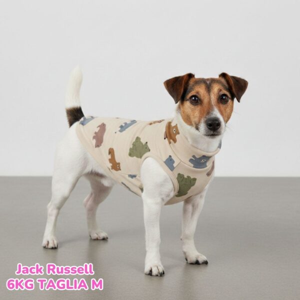 Felpa Cotone Primavera Orsi Felpa Cotone Primavera Orsi