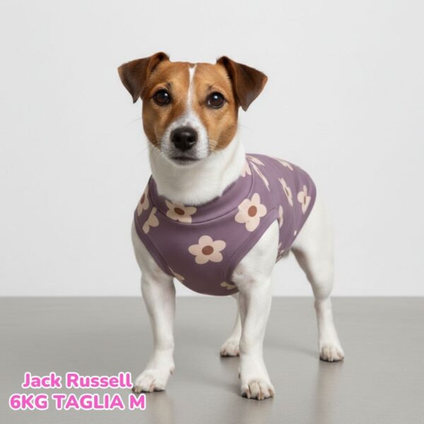 Felpa Cotone Primavera Margherite