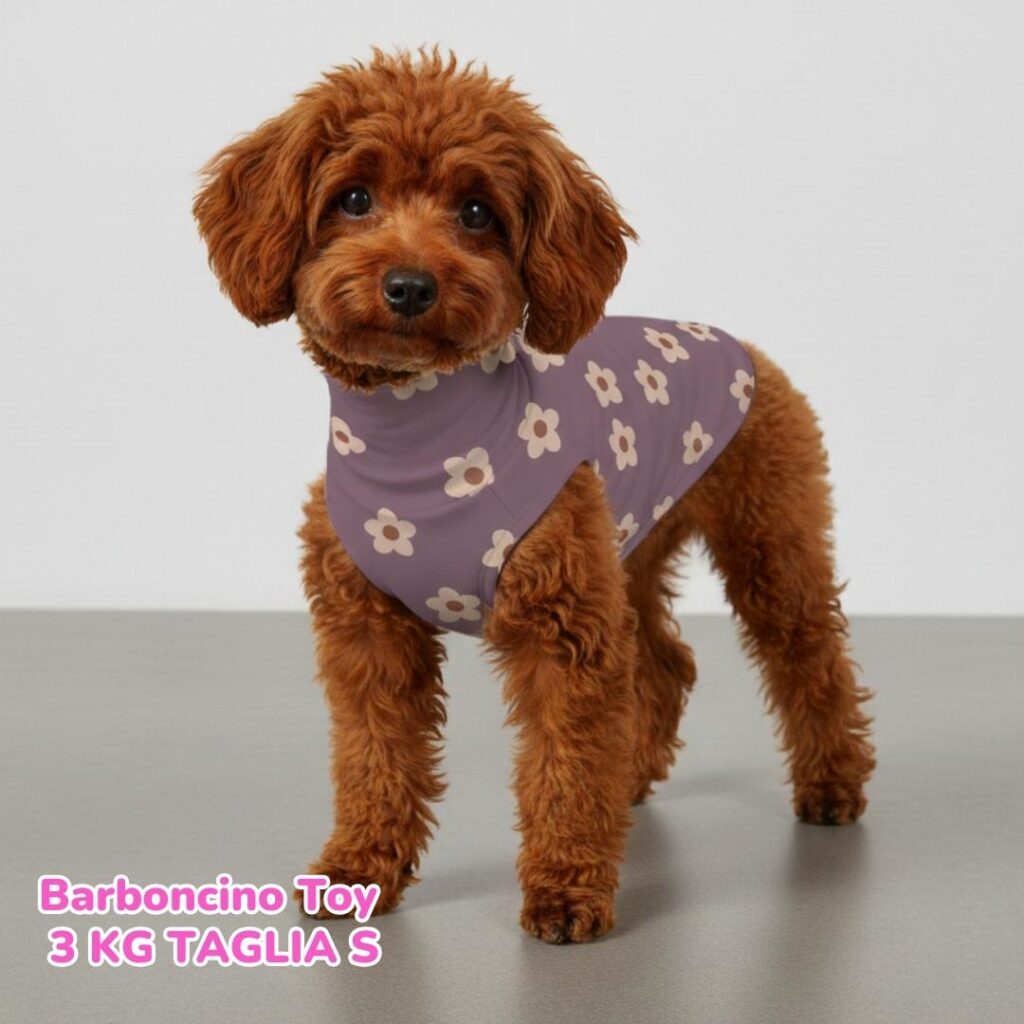 abbigliamento per cani – 2026-02-18T191141.457