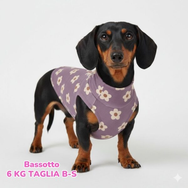 Felpa Cotone Primavera Margherite