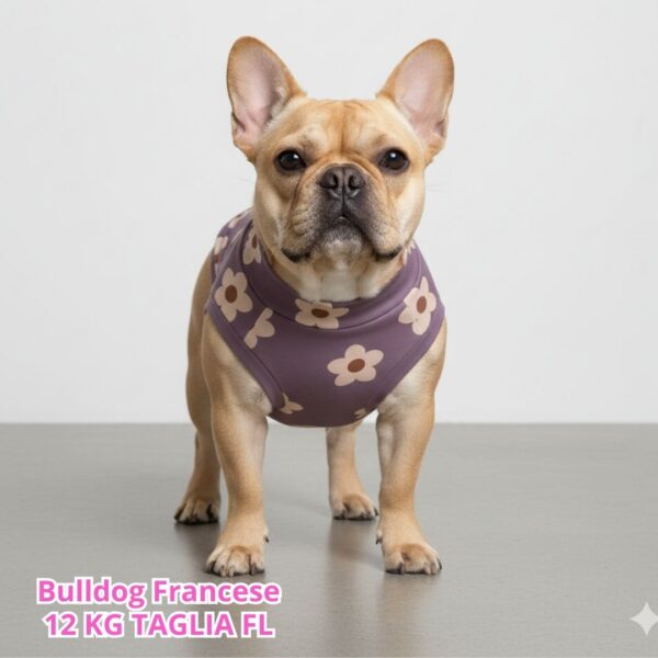 Felpa Cotone Primavera Margherite