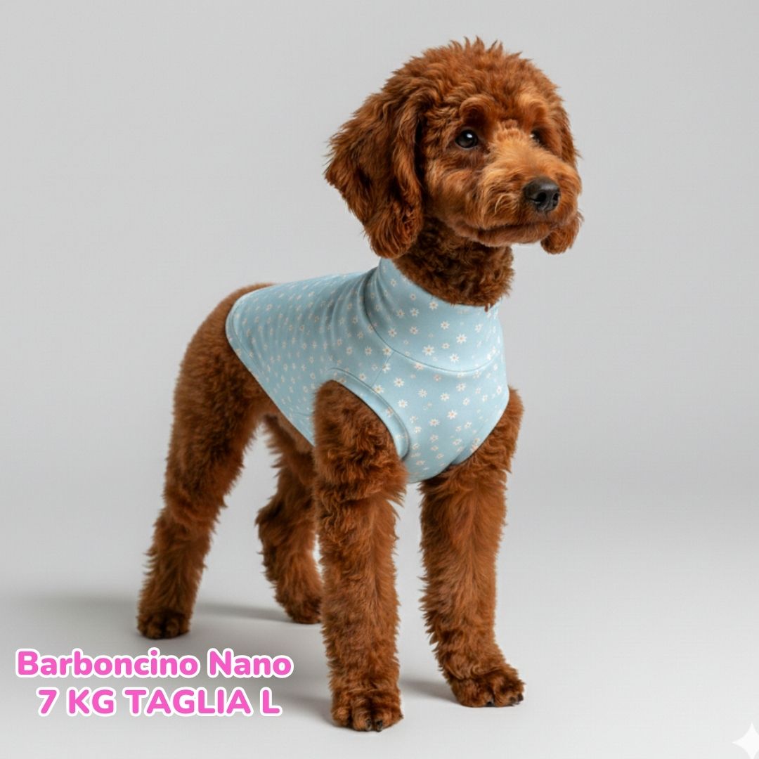 Maglietta Cotone Margheritine