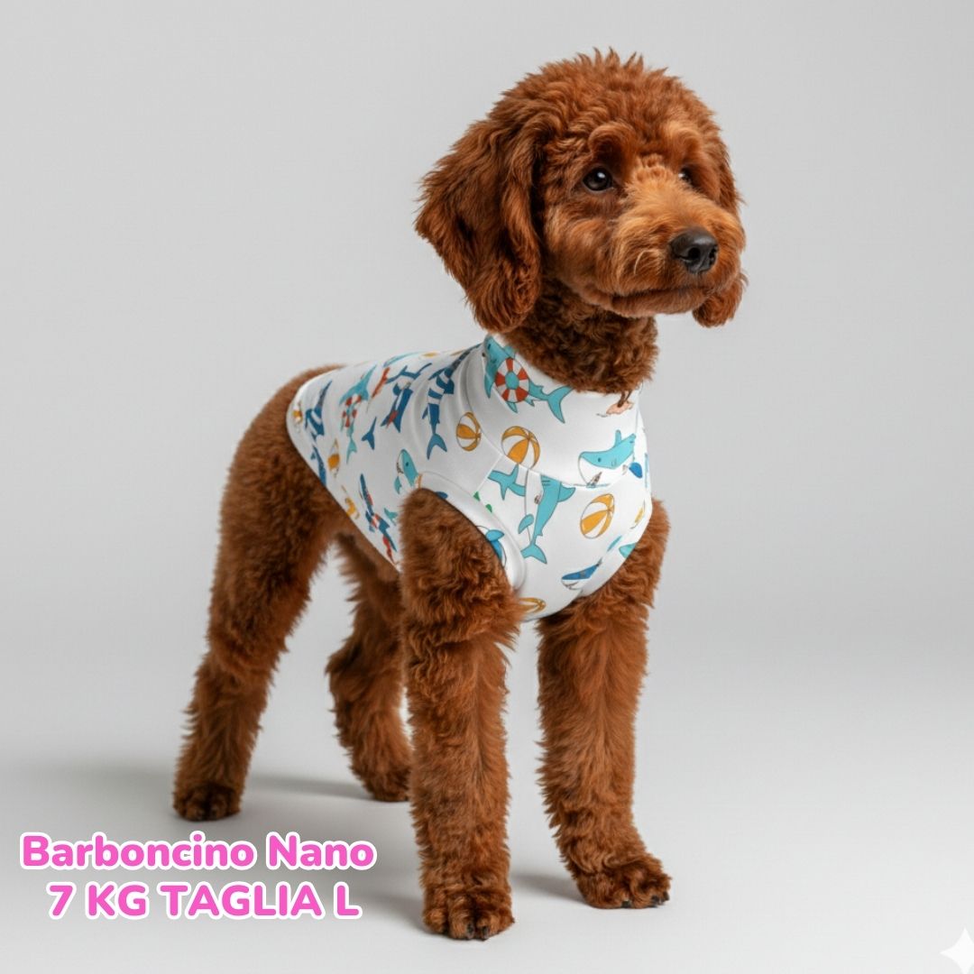 abbigliamento per cani – 2026-02-24T201818.745