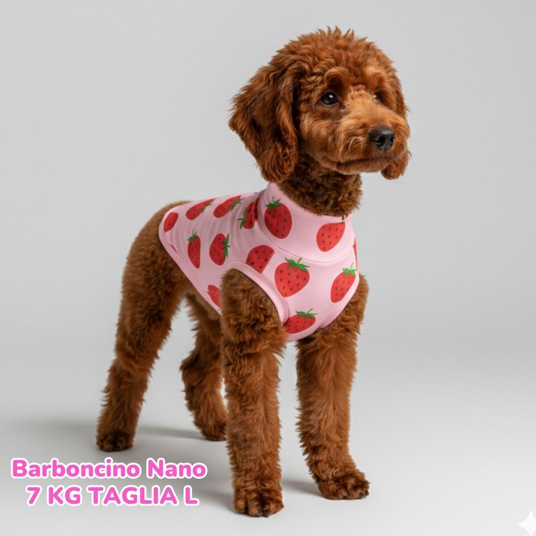 Maglietta Cotone Fragoline