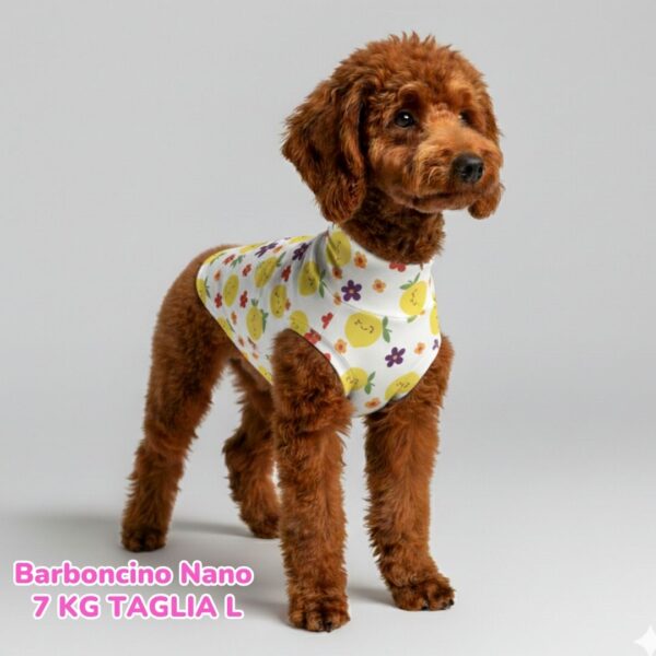 Maglietta Cotone Frutta Maglietta Cotone Frutta