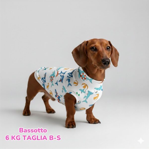 Maglietta Cotone Frutta Maglietta Cotone Frutta