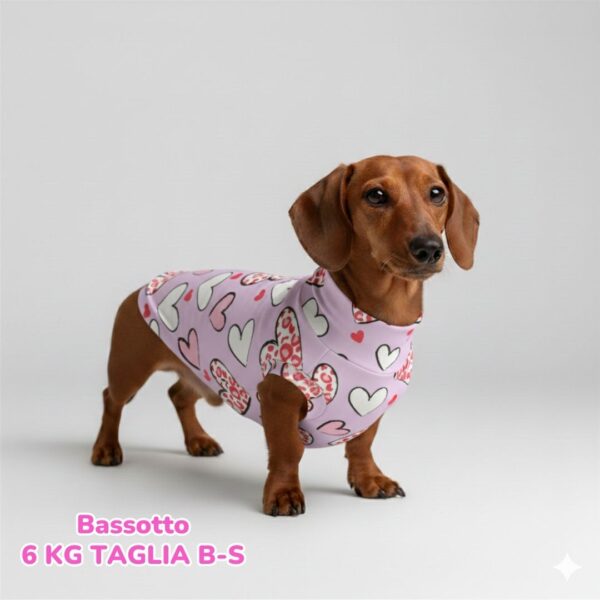 abbigliamento per cani – 2026-02-24T201854.940