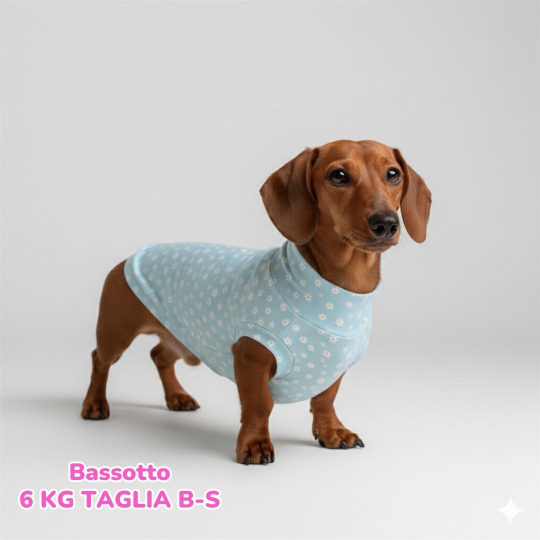 abbigliamento per cani – 2026-02-24T201907.453