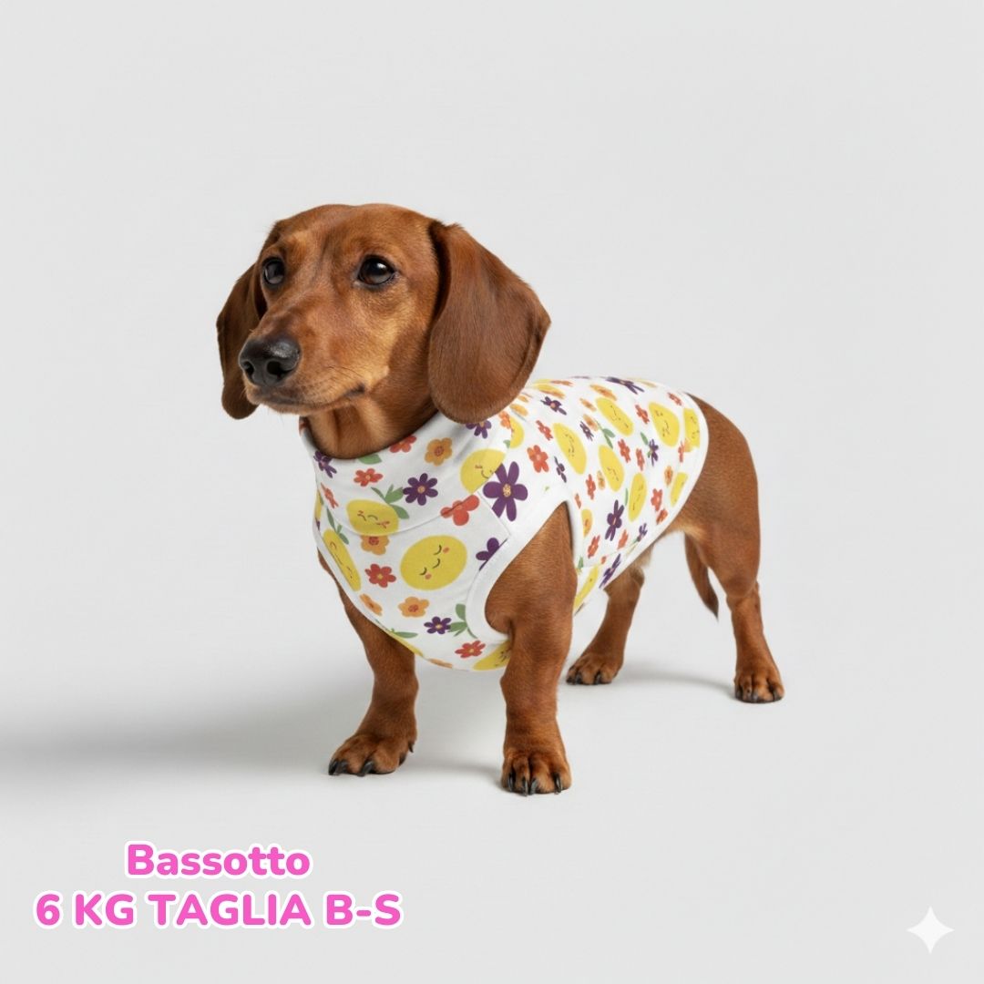 Maglietta Cotone Frutta