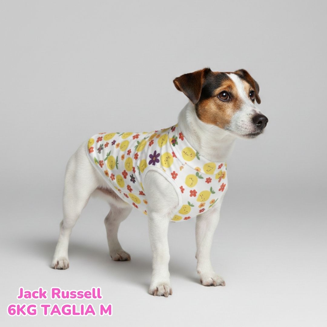 Maglietta Cotone Frutta