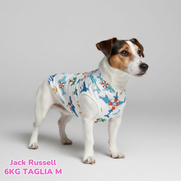 Maglietta Cotone Frutta Maglietta Cotone Frutta