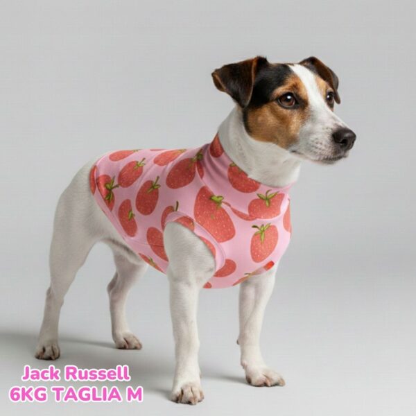 abbigliamento per cani – 2026-02-24T201949.844