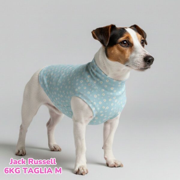 Maglietta Cotone Frutta Maglietta Cotone Frutta