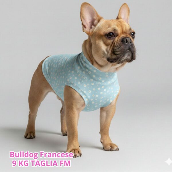 Maglietta Cotone Frutta Maglietta Cotone Frutta