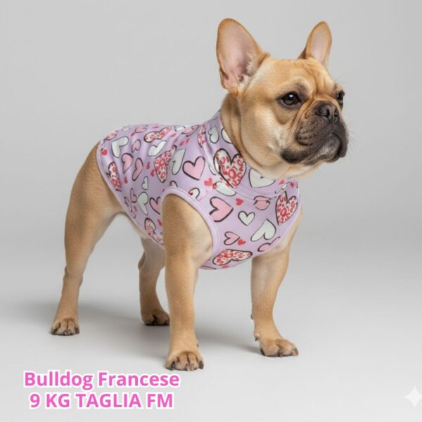 Maglietta Cotone Frutta