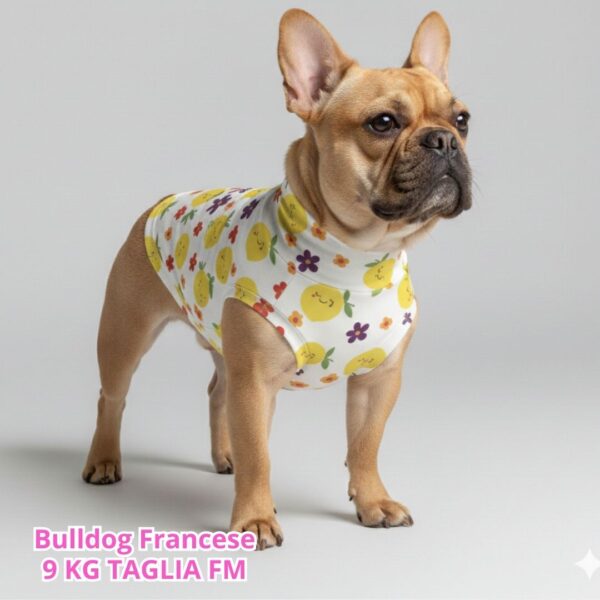 abbigliamento per cani – 2026-02-24T202040.372