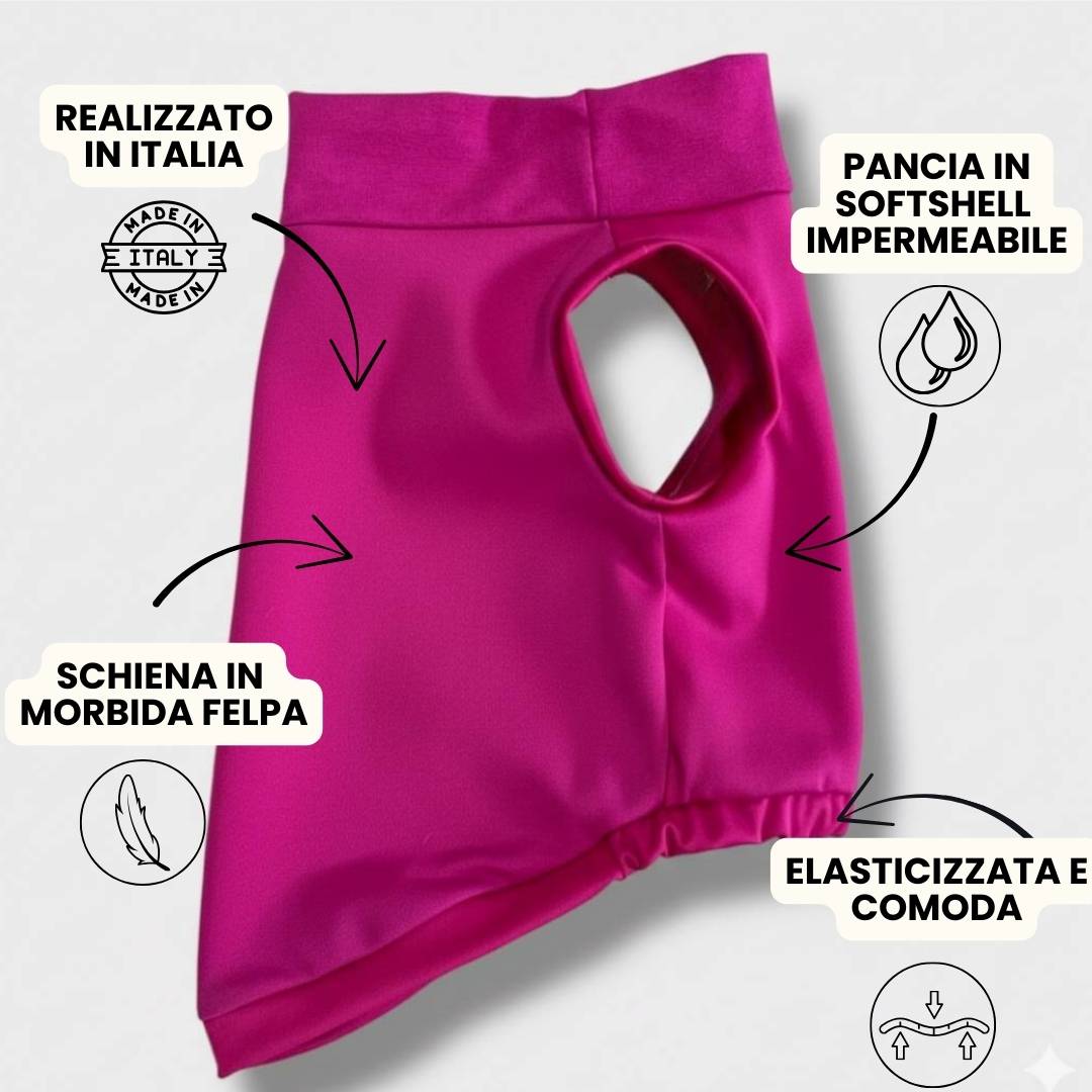 abbigliamento per cani – 2026-02-25T171212.818