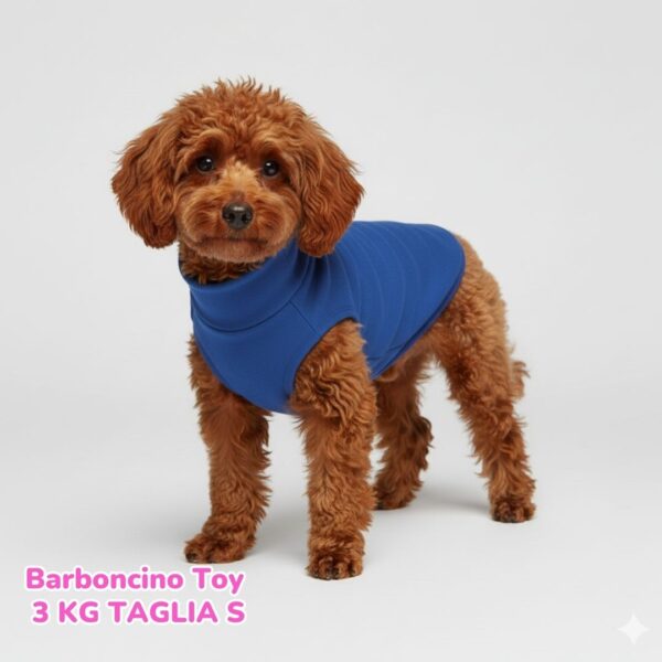 Felpa Cotone Primavera Bluette Felpa Cotone Primavera Bluette