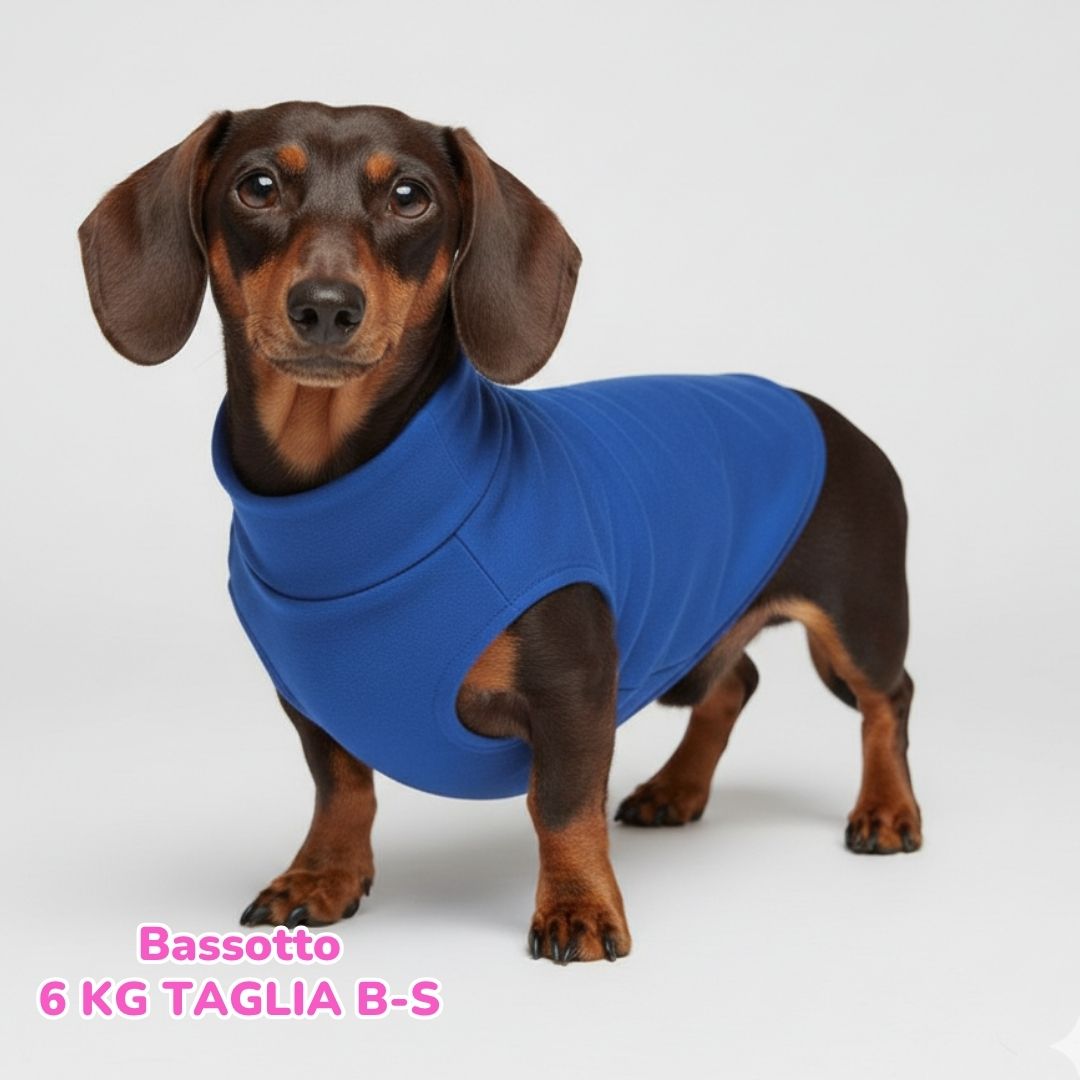 Felpa Cotone Primavera Bluette