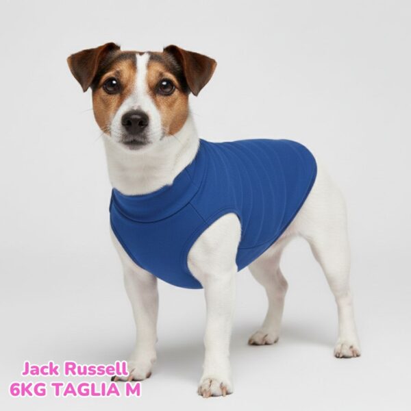 Felpa Cotone Primavera Bluette Felpa Cotone Primavera Bluette