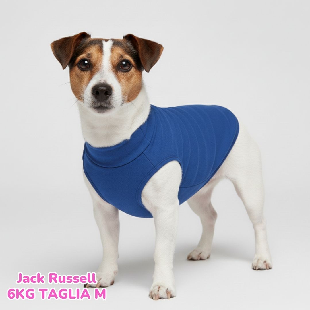 Felpa Cotone Primavera Bluette