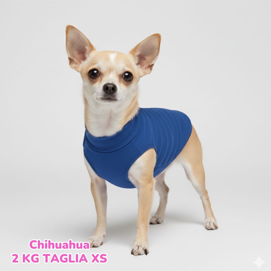 Felpa Cotone Primavera Bluette