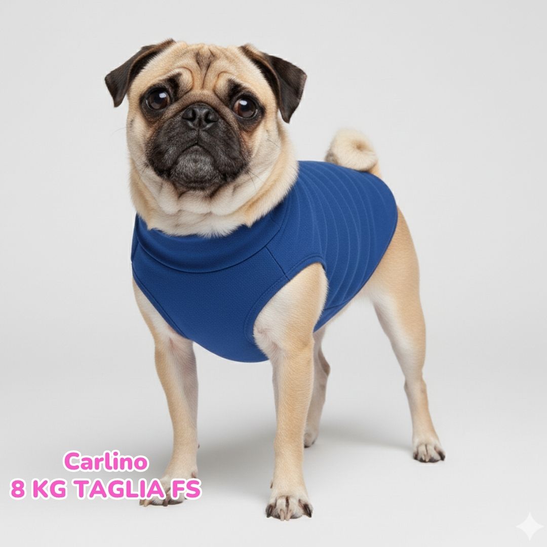 Felpa Cotone Primavera Bluette