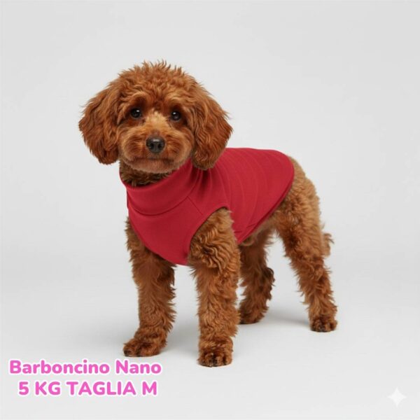 Felpa Cotone Primavera Rossa