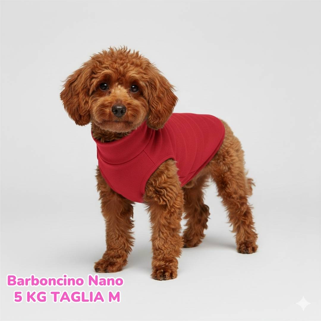 Felpa Cotone Primavera Rossa