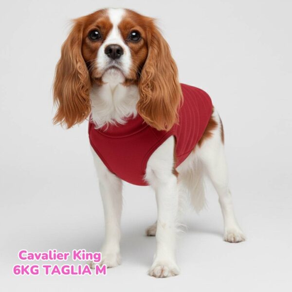 Felpa Cotone Primavera Rossa