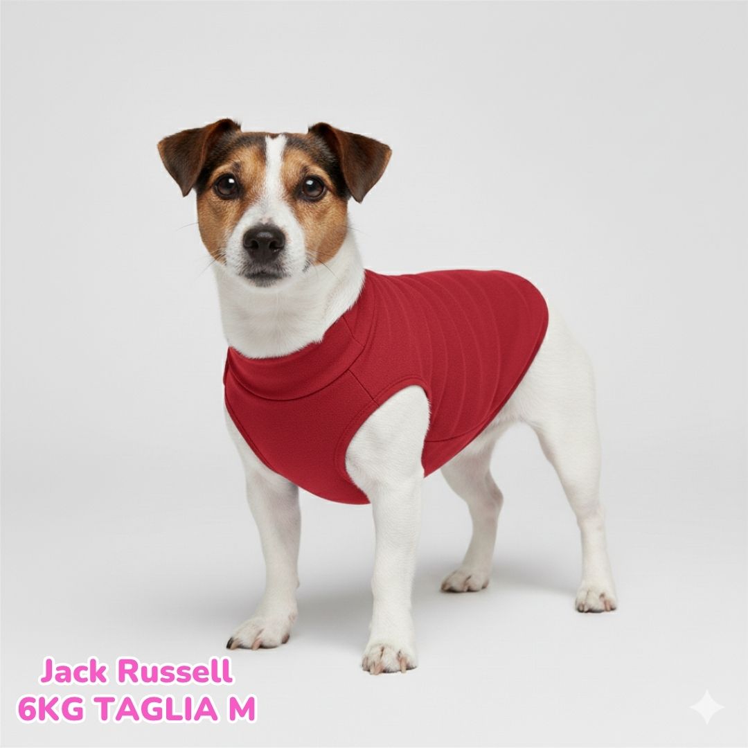 Felpa Cotone Primavera Rossa