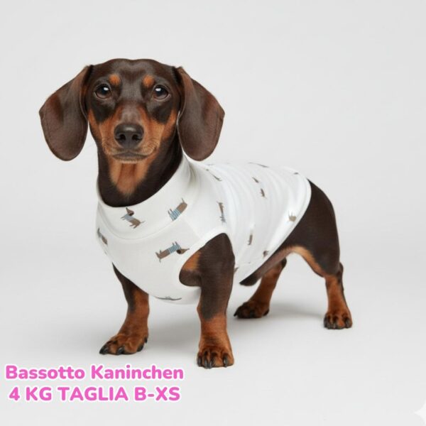 Maglietta Cotone Bassotti Maglietta Cotone Bassotti