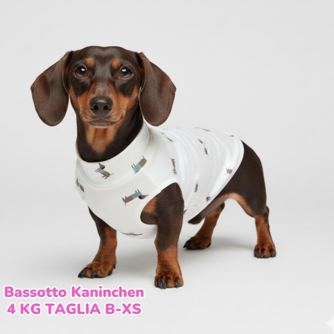 Maglietta Cotone Bassotti