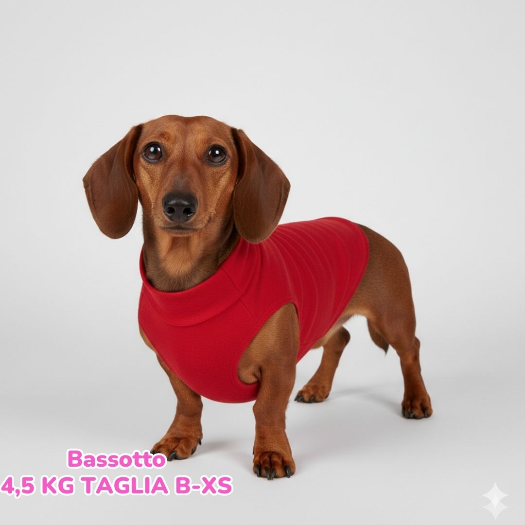 abbigliamento per cani (62)