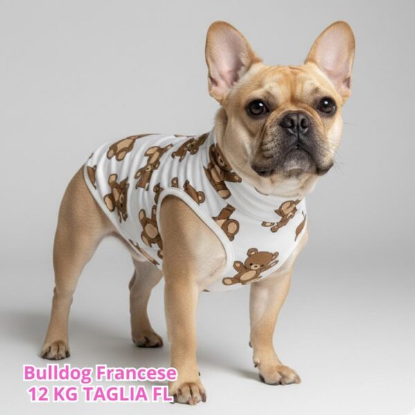 Felpa Cotone Primavera Teddy Felpa Cotone Primavera Teddy