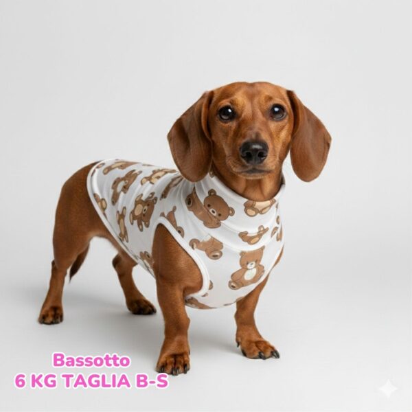 abbigliamento per cani (66)