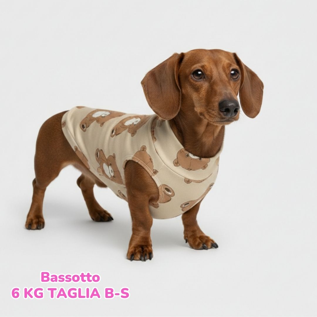 abbigliamento per cani (68)