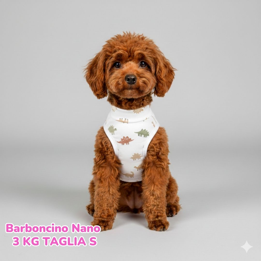 Maglietta Cotone Dino