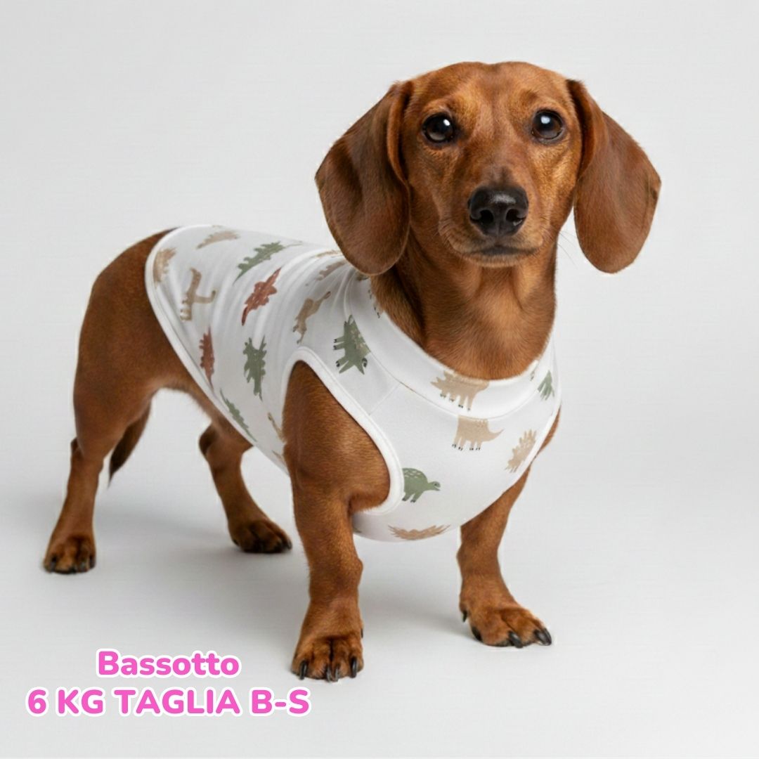 abbigliamento per cani (71)