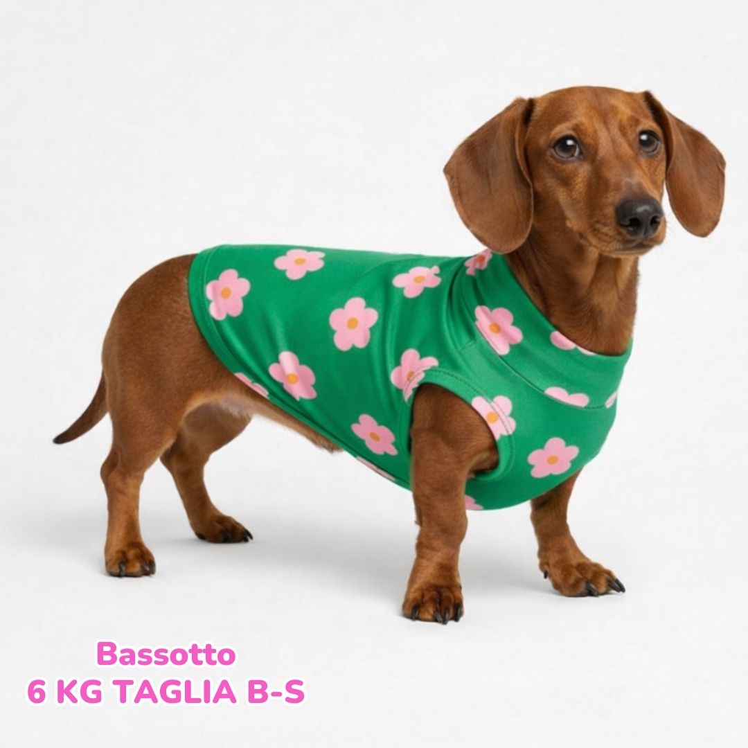 abbigliamento per cani (72)